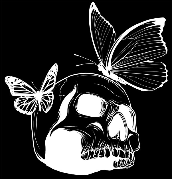 Vector skull with butterflys vector illustration