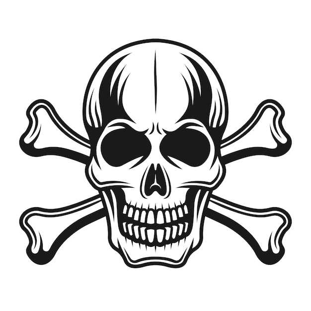 Vector skull with crossbones front view detailed illustration