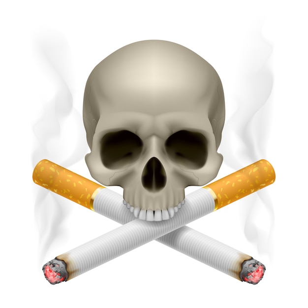 Vector skull with crossed cigarettes as symbol of smoking danger.