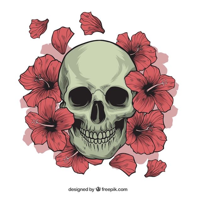 Vector skull with hand drawn flowers