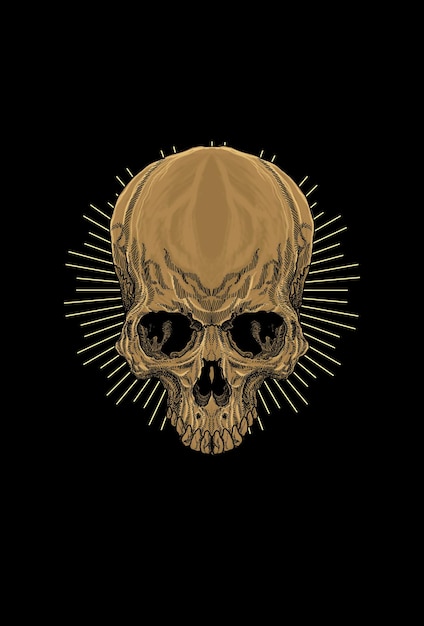 Skull with light vector illustration