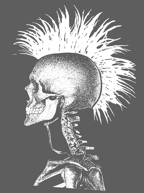 A skull with a mohawk and a skull with the word punk on it.