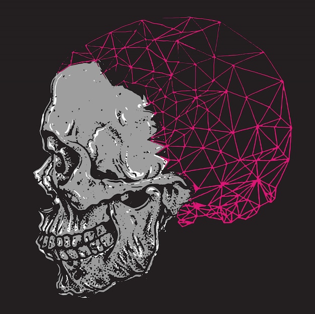 Skull with polygonal brain