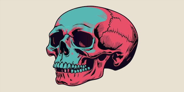 Vector a skull with a red and blue color on it