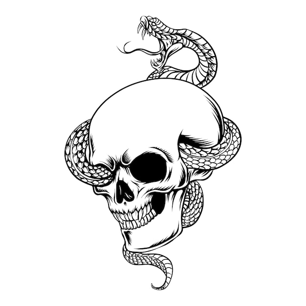 Skull with snake