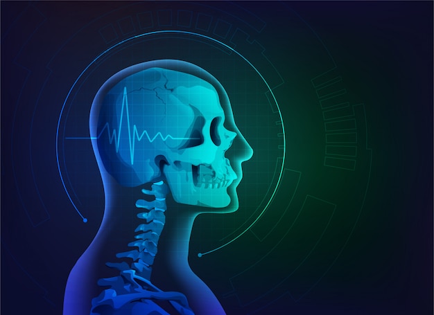 Vector skull x-ray