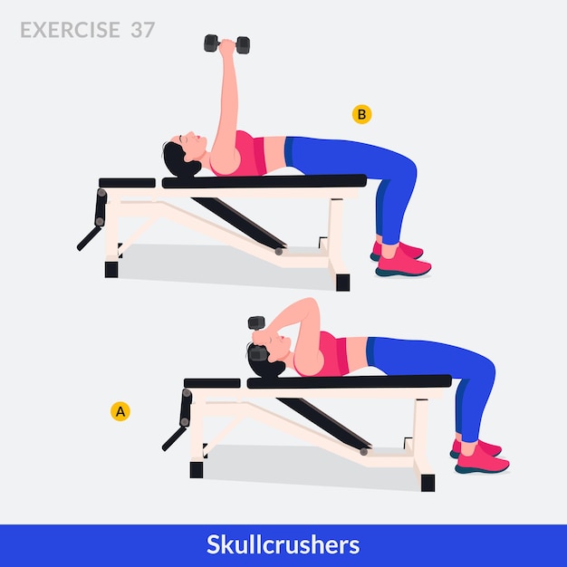 Vector skullcrushers exercise woman workout fitness aerobic and exercises
