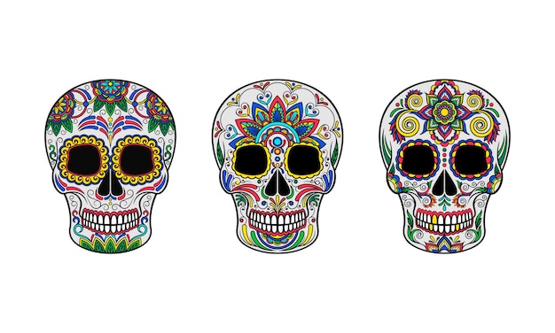 Vector skulls are decorated with patterns of colorful flowers and leaves vector illustration