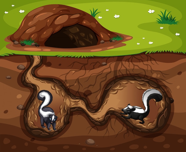 Вектор skunk living in the hole