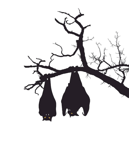 Slapende vleermuizen op brunch van boom. Silhouet van vleermuis, element voor Halloween