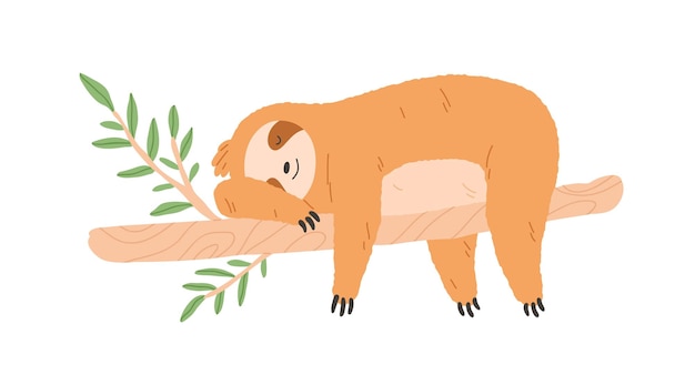 Slaperige luie luiaard slapen op boomtak. Schattig gelukkig dier liegen. In slaap babykarakter ontspannen en rusten met poten die naar beneden hangen. Platte vectorillustratie geïsoleerd op een witte achtergrond.