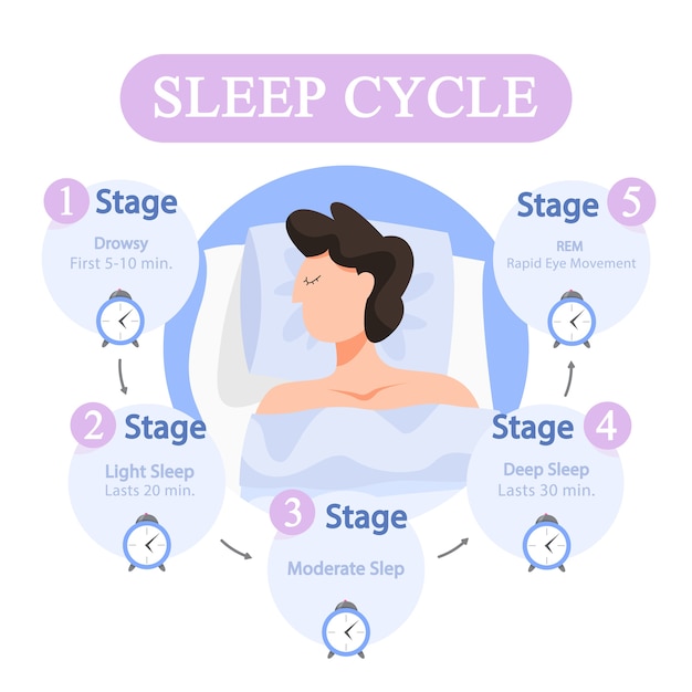 Infografica del ciclo del sonno. fase del sonno durante