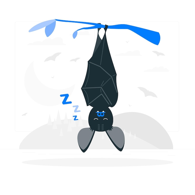 Vector sleeping bat concept illustration