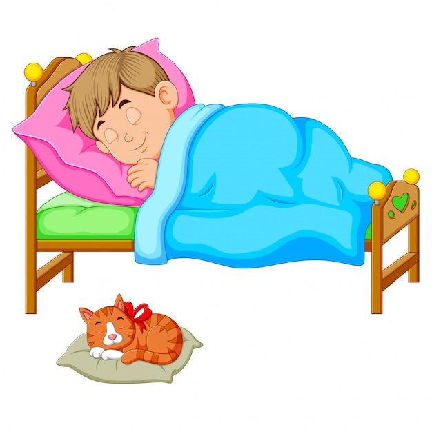 Sleeping boy in bed with a kitten
