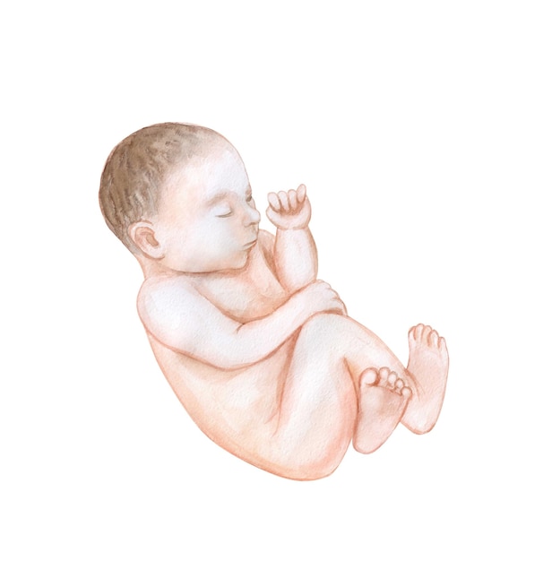 Vector sleeping cute baby newborn. new family. motherhood watercolor illustration