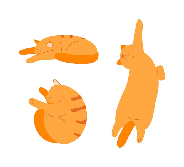 Sleeping relaxed ginger cat vector set