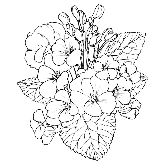 sleutelbloem bloem kleurplaat sleutelbloem lijntekeningen sleutelbloem tattoo botanische illustratie vector kunst