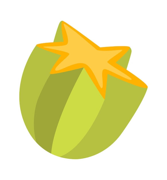 Slice of cannon fruit Vector illustration