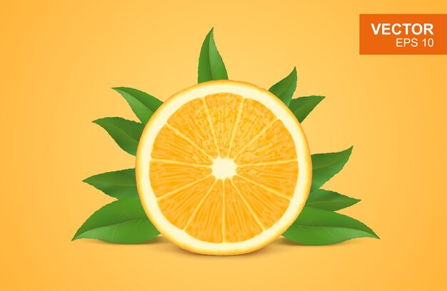 Slice of fresh orange realistic 3d illustration