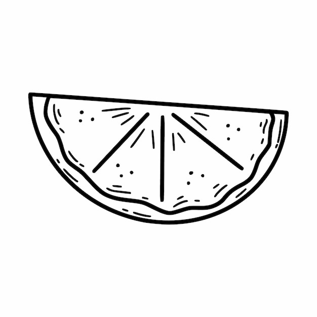 Slice of lemon Vector doodle illustration Sketch