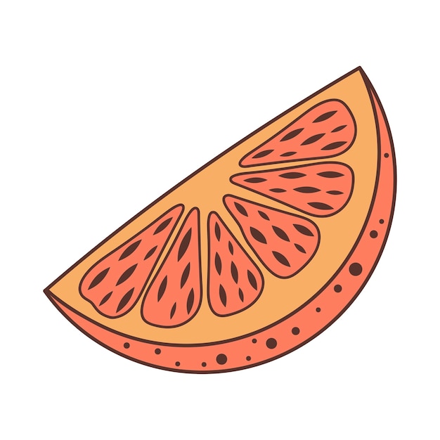 Slice of orange fruit Hand drawn illustration in doodle style