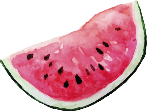 Vector slice of watermelon