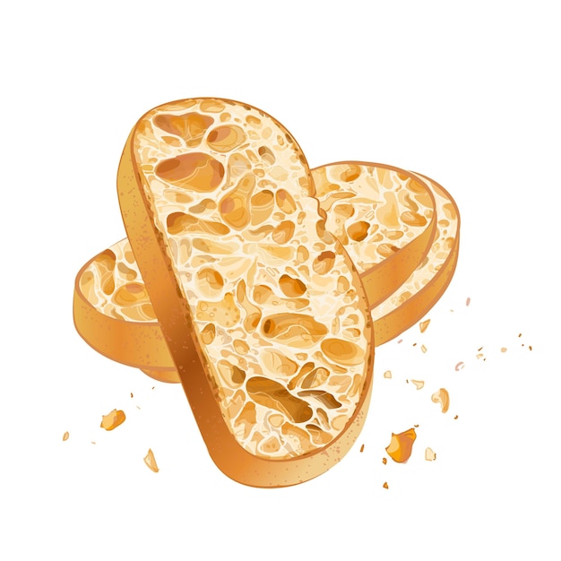 Vector sliced bread slice of a whole wheat bread bakery piece of roasted crouton realistic illustration image