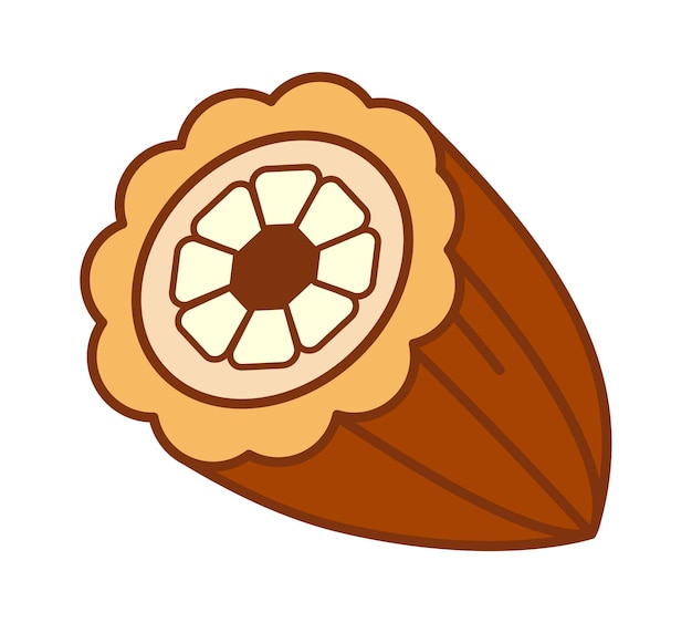Векторная иллюстрация нарезанных какао-фруктов