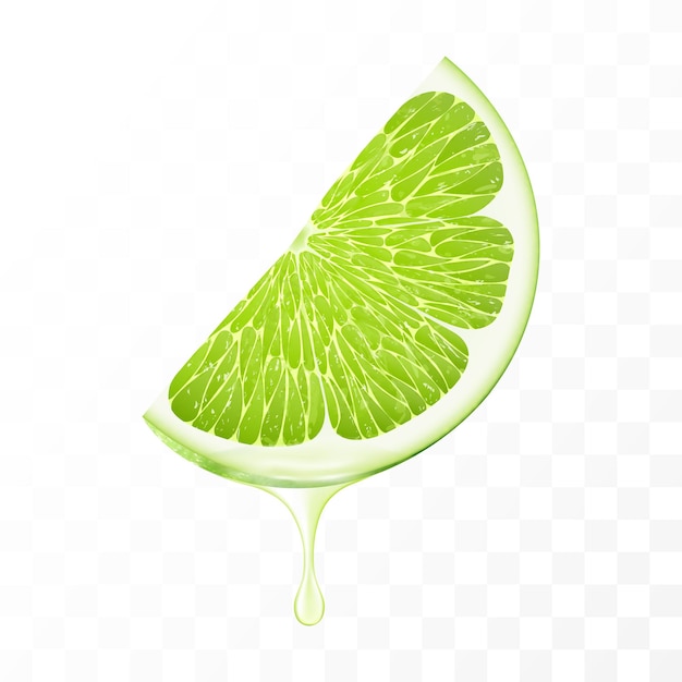 Vector sliced of green lime with juice dripping isolated on transparent background fresh slice of lime with essential oil dripping juicy fruit fresh citrus design realistic 3d vector