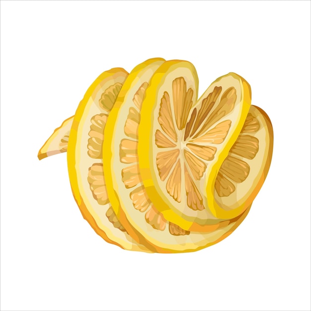 Sliced lemon decoratively served Isolated vector illustration