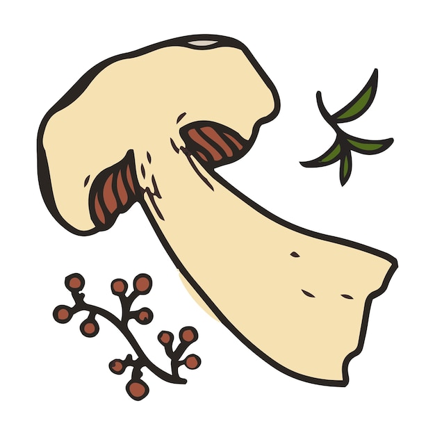 Нарезанные грибы с векторной иллюстрацией приправ Ручной рисунок съедобных грибов
