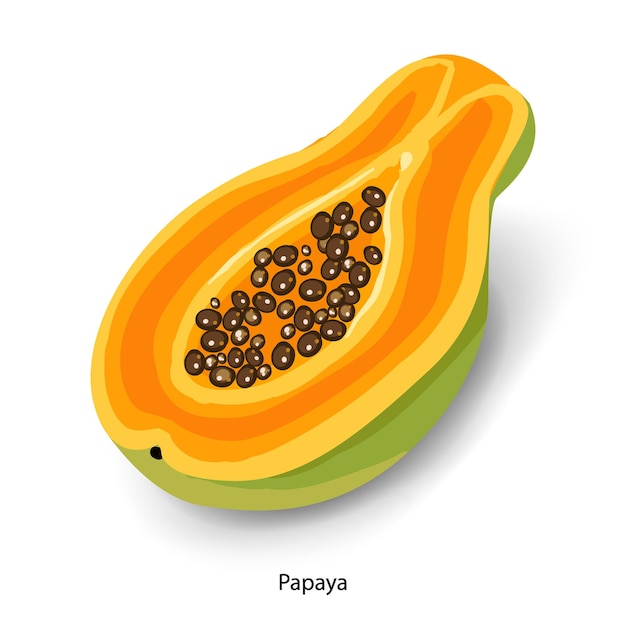 sliced papaya cartoon vector illustration ripe tropical fruit half papaya with seeds isolated