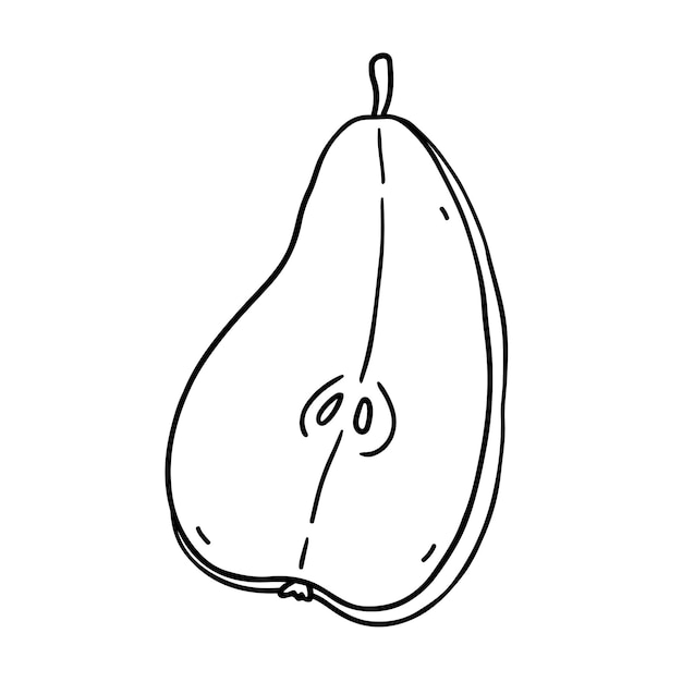 Sliced pear isolated on white background hand drawn illustration in outline style