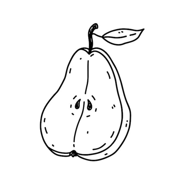 Sliced pear isolated on white background organic food hand drawn illustration in doodle style