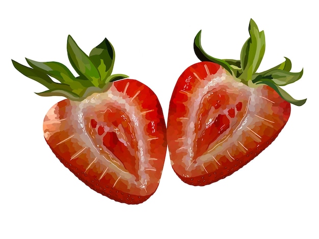 Vector sliced red strawberries