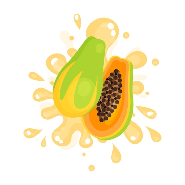 Succo di papaya maturo affettato che spruzza, illustrazione di vettore di frutta succosa fresca colorata isolata su uno sfondo bianco