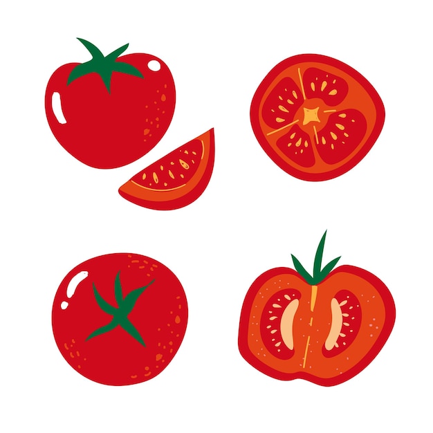 Vector sliced of riped tomatoes in flat design