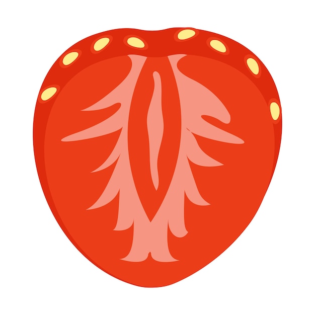 Premium Vector | Sliced strawberry