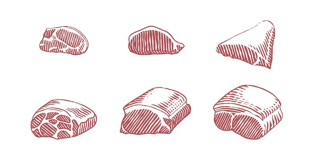 Slices of meat hand drawn sketch style vector illustration