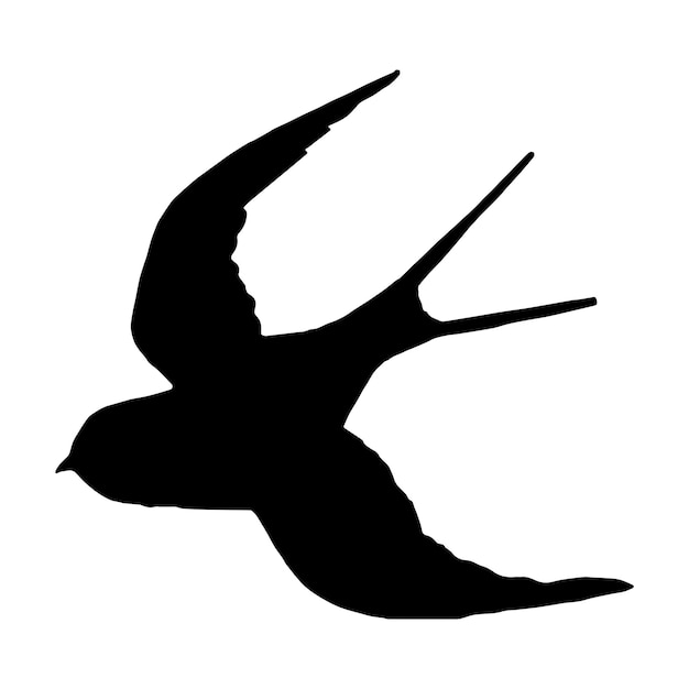 slikken vogel of gierzwaluw silhouet zwart geïsoleerd in witte achtergrond vectorillustratie