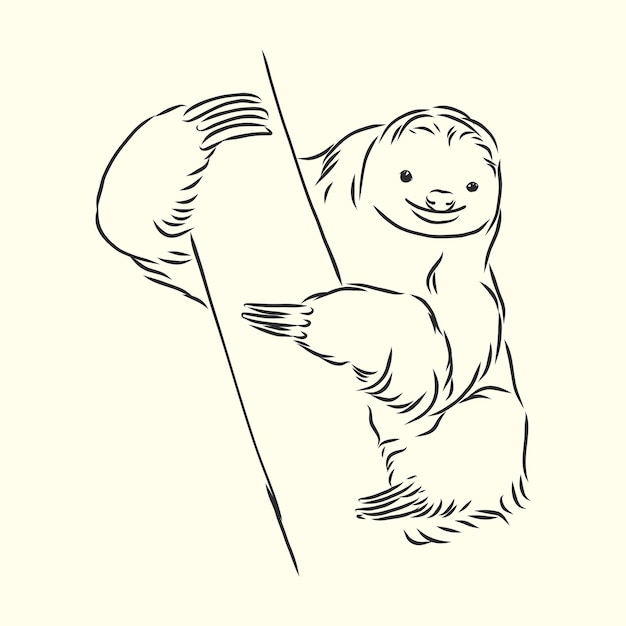 Sloth outline illustration, sloth, vector sketch illustration