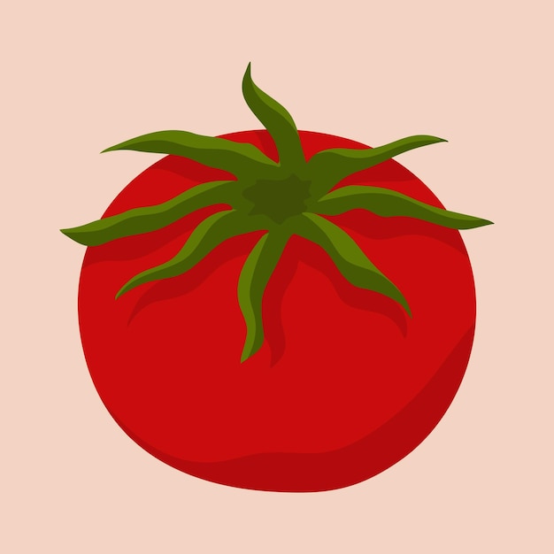 Vector sluit omhoog illustratie van verse tomaten