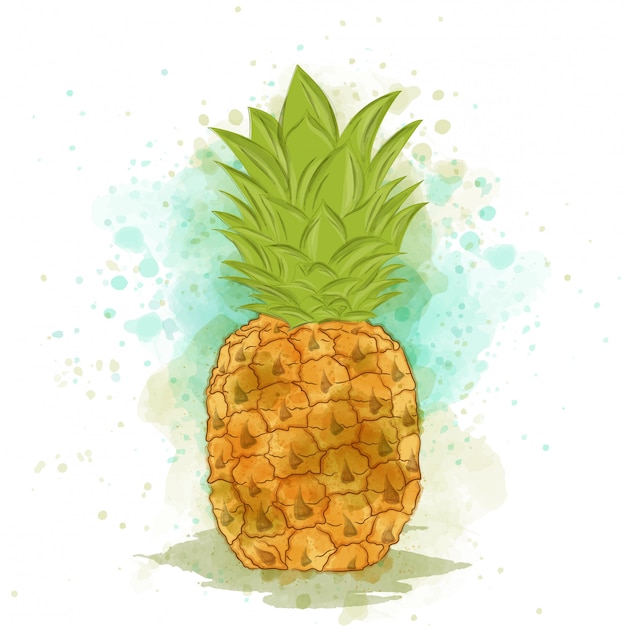 Smakelijke aquarel ananas