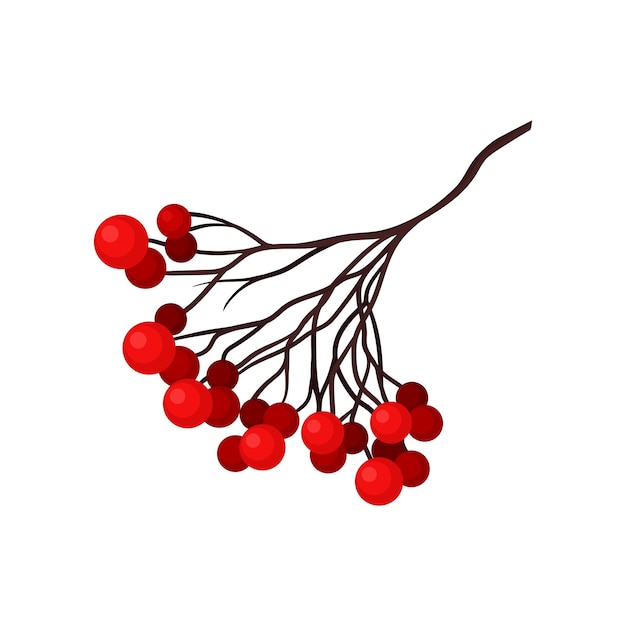 Small branch with bright red berries Natural Christmas decoration Flora and botany theme Colorful graphic element for greeting card Vector illustration in flat style isolated on white background