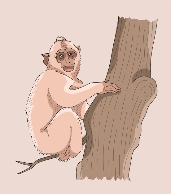 Small chimp sitting on the tree