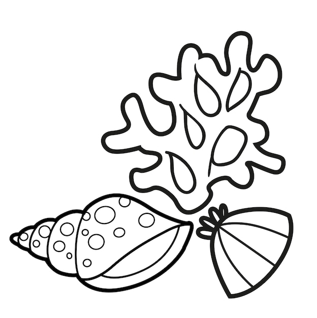 Small coral with two seashells side by side outlined for coloring page isolated on white background