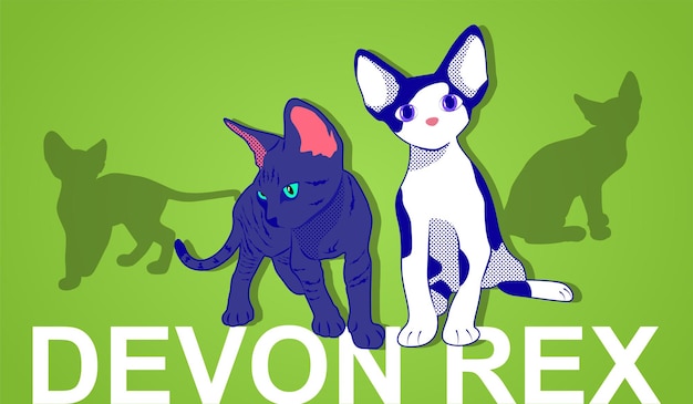 small devon rex vector illustration