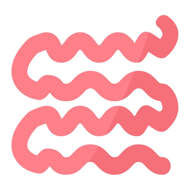 small intestine icon vector image can be used for human anatomy