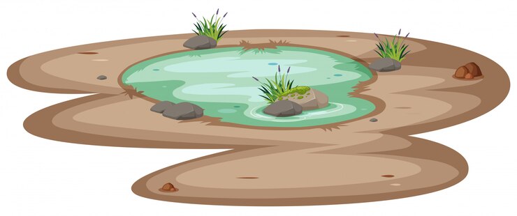 Vector a small pond on white background