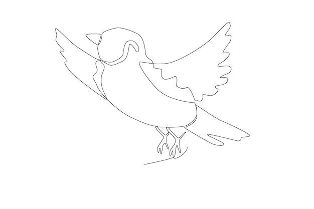 Small sparrow bird line art